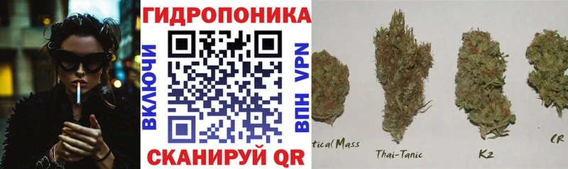 Где продают наркотики Тайшет Кокаин Мефедрон Гашиш Альфа ПВП Канабис