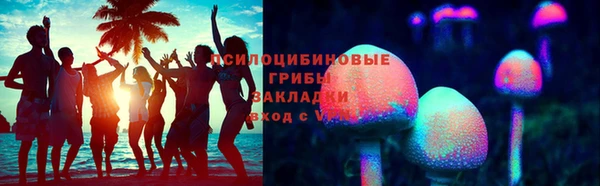 ешки Алексин
