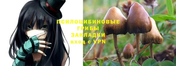 марки lsd Алзамай
