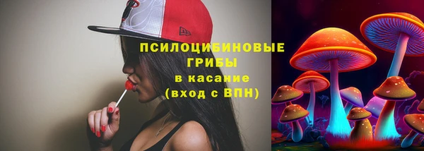 ешки Алексин