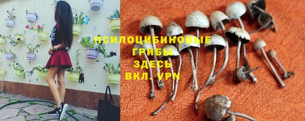 марки lsd Алзамай