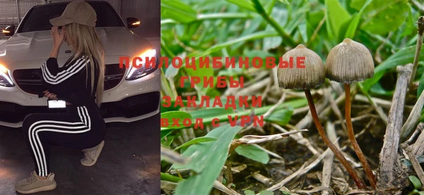 бошки Алексеевка
