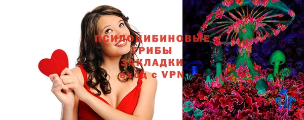 бошки Алексеевка