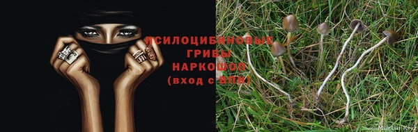 ешки Алексин
