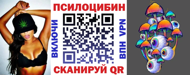Псилоцибиновые грибы Psilocybine cubensis  Тайшет 