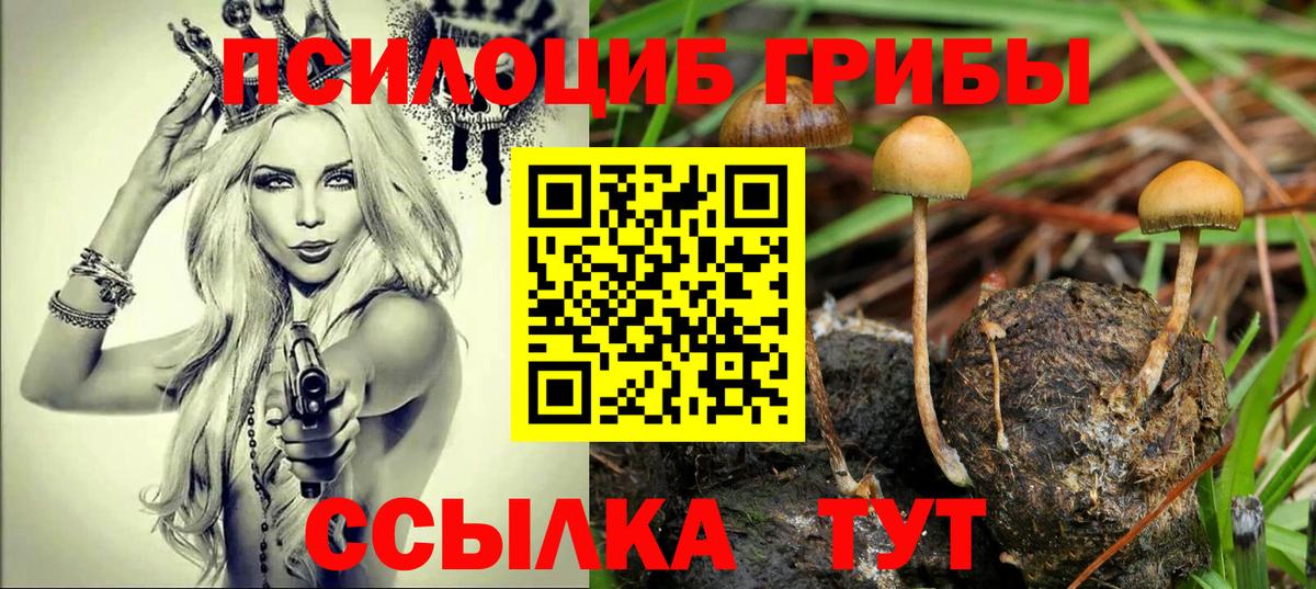 Псилоцибиновые грибы Psilocybine cubensis Тайшет